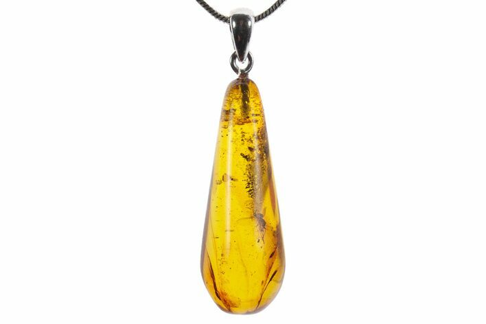 Polished Baltic Amber Pendant (Necklace) - Contains Fly! #352964
